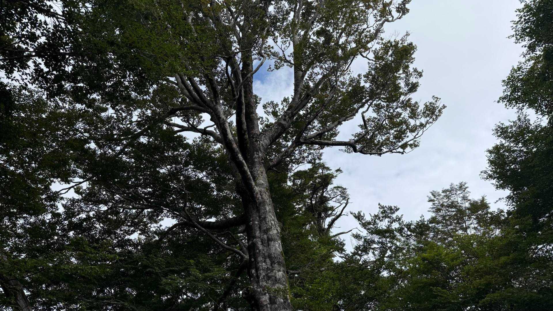 天気は期待してなかったけど
時折晴れ間もあった