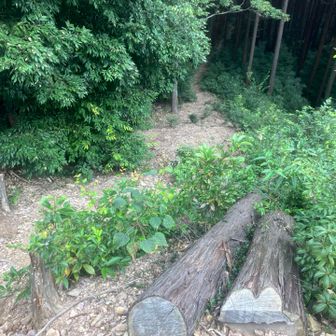 結構急
ちょいザレている