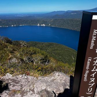 山頂は大人気だったので早めに撤退
