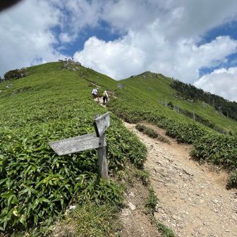 遊歩道コースの分岐
剣山山頂方面は、ちょっと急登