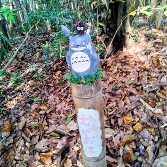 トトロの小道🎵😄
トトロのお出迎え🎊😄