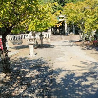 今回はあらかじめゴール地点の賎ケ岳付近にの自転車を配置　ゴール後チャリ走でここに戻る予定ですが　盗難されないか不安のもと登山開始🤐