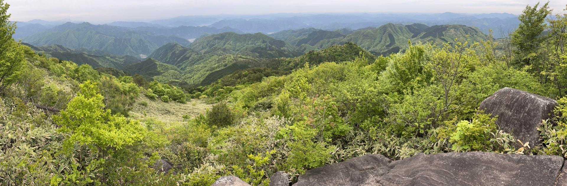 そのちょい先に見渡せる岩場が✨
けっこう登った感がある⤴️