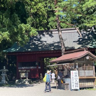 入域料（任意）をPayPayで支払って、