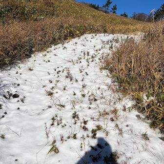 意外と滑るから時間かかりそうです