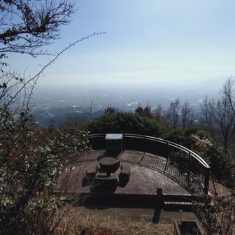 小春日和の中弁当食べてゆっくり出来ました