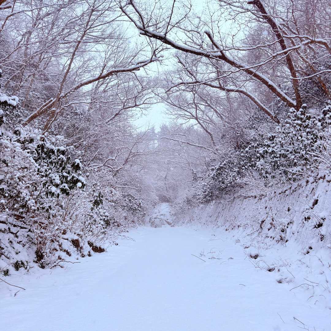 御岩山 往復コースの写真