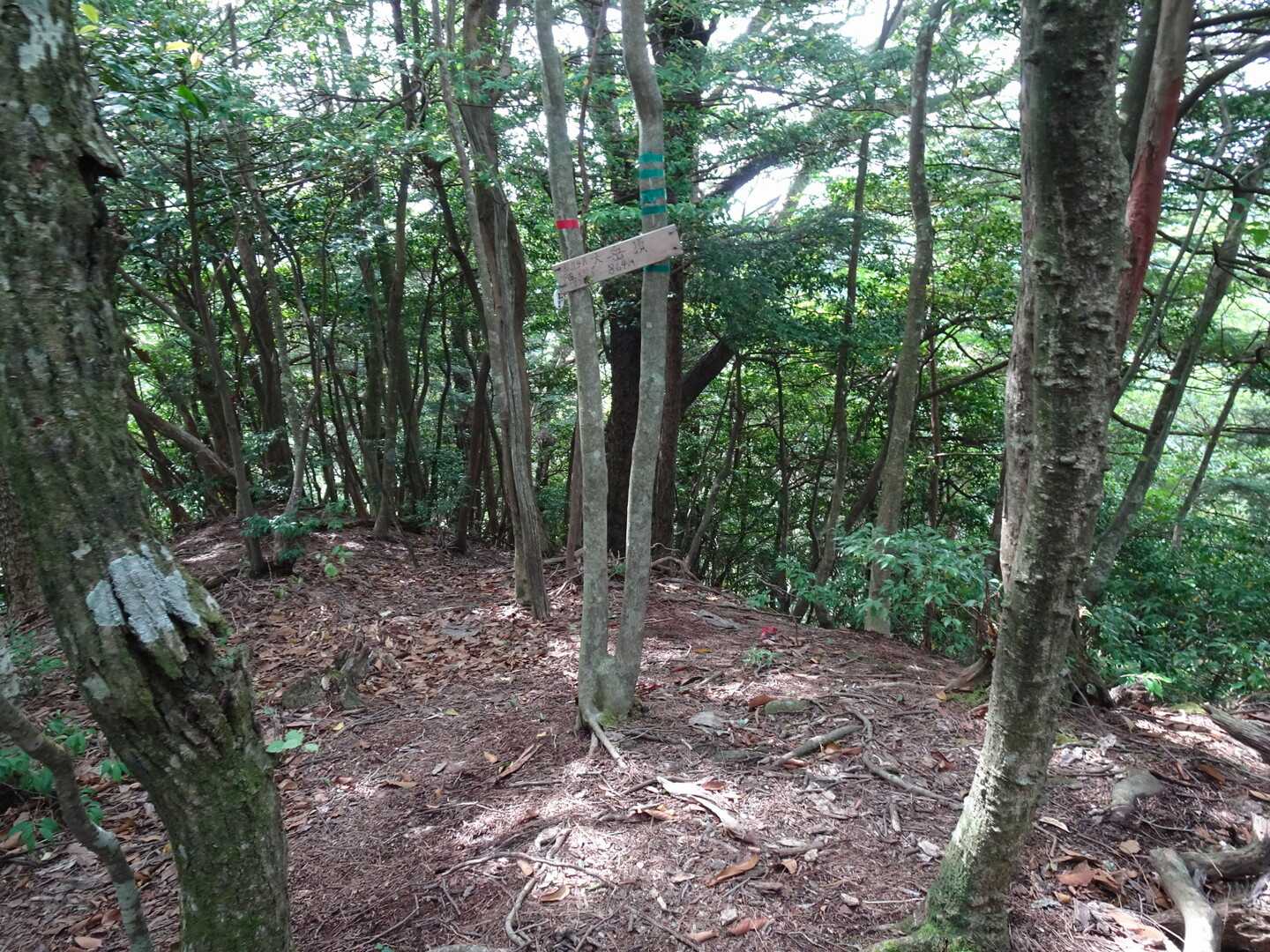 大岳の写真