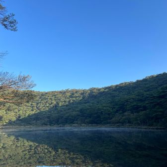 綺麗すぎる✨️