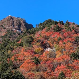 山頂もみえてきた💕
紅葉きれいにゃ〜🙌
