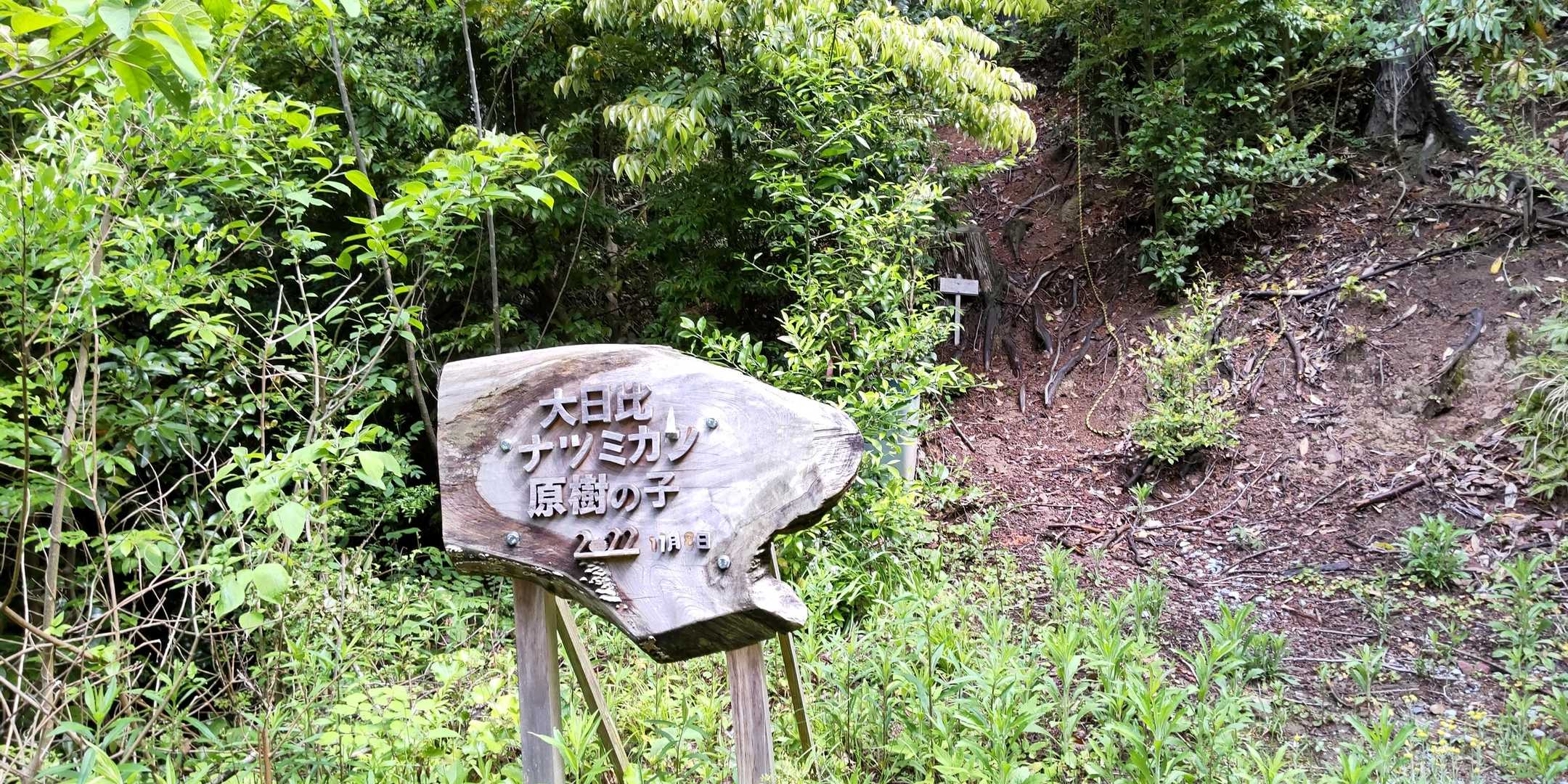 久原山登山口-久原山-久原山登山口 周回コースの写真
