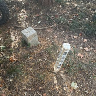 いや、走行中に出遭わずに済んで幸いだったよ😌

バイクの後輪と
３等三角点　井ノ浦山
