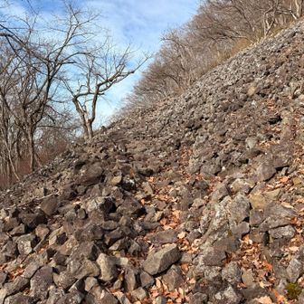 ここは見どころ