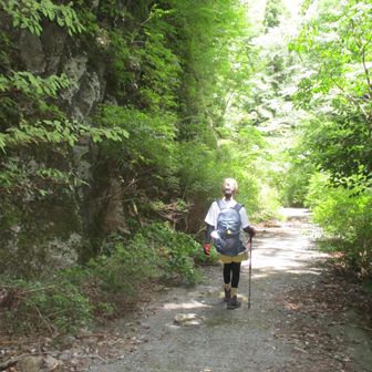 本来の登山道はこの道の崖の上を通っているようです