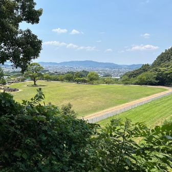 木陰に入るとちょっと涼しい
景色いい