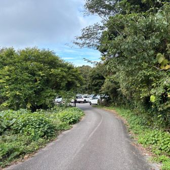 ついたー
車がいっぱいになっとる