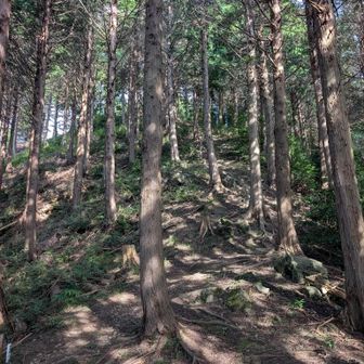 急登ラスト