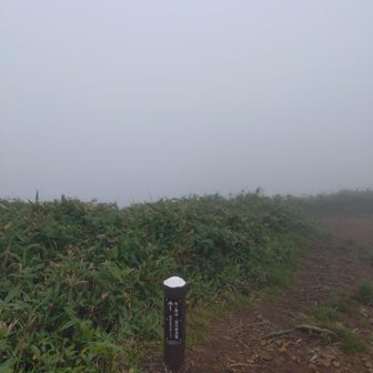 ましてや仙ノ倉なぞもっと見えん！
…てなわけで平標山の家に向けて下山開始