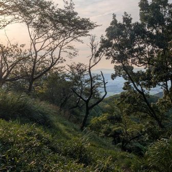 時間がないのでここから走っております。