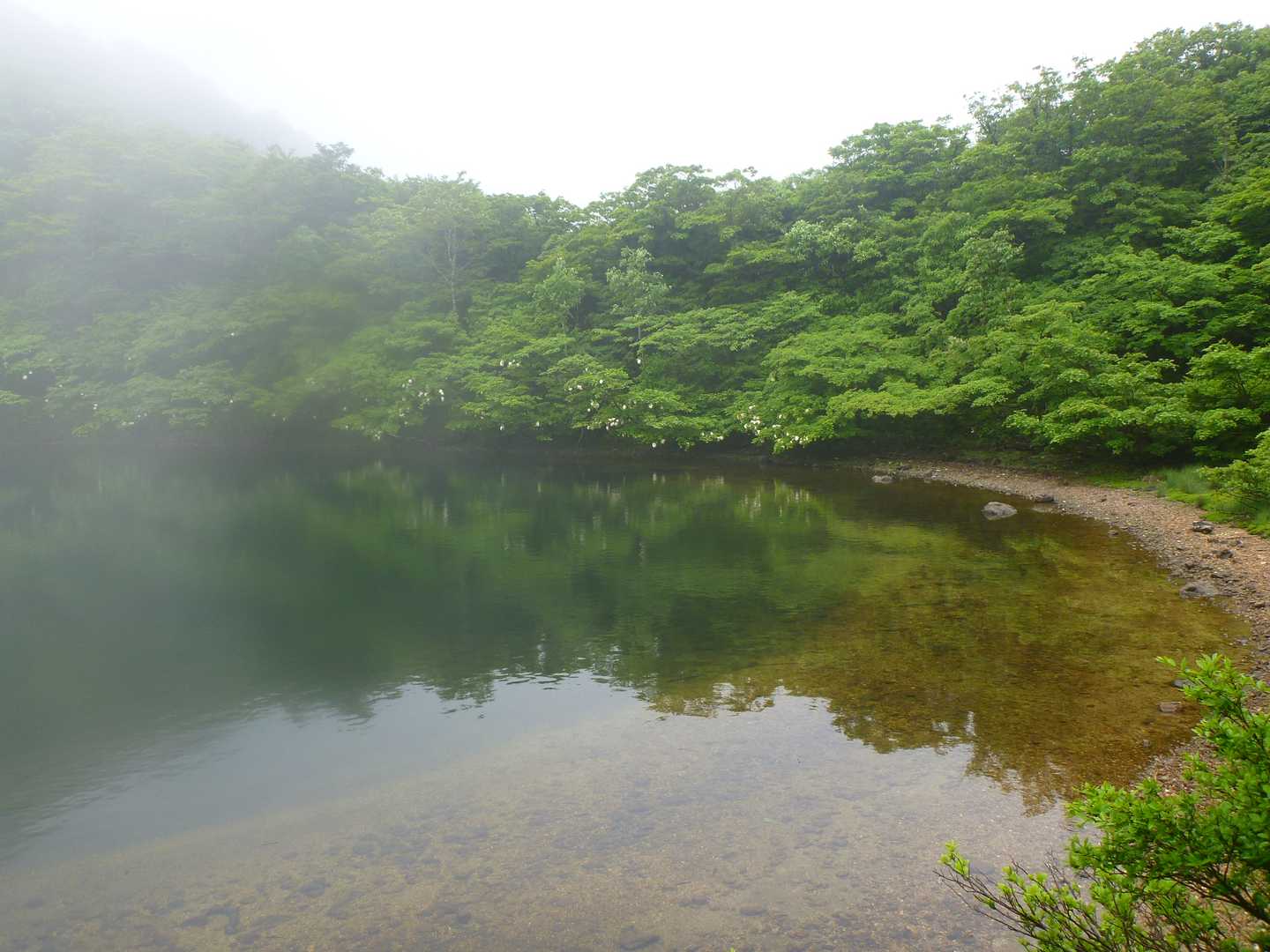 池畔に立つと少しの間ガスが晴れてきました😍
