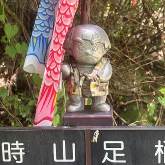行きには気づかなかった金太郎さん