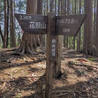 向山山頂、展望なし。
時々スライド者あり。
逆時計回りが多いのか、誰か教えて😅