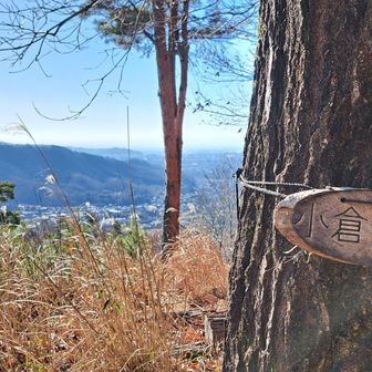 続いて小倉山。