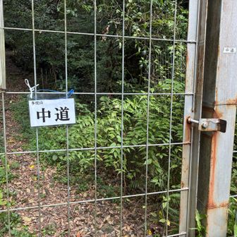 新しく「中道」のプレートが付いてたよ