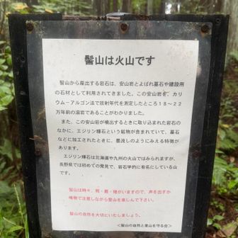 時々、熊、鹿、猪がいますのでと🤣
時々ってのがウケる😂