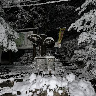 今朝はここから