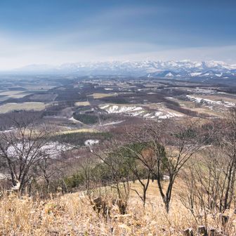 ダニさえいなければ、またねと言いたいのだが。