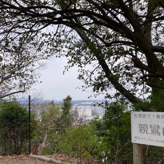 親鸞山山頂（標高111.6m）