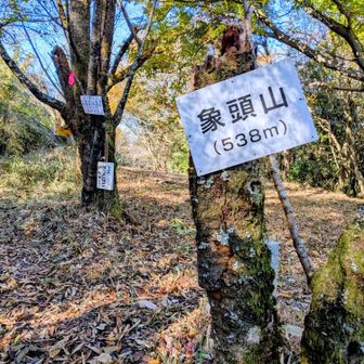④像頭山に登頂です🙌