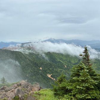 山頂からの眺め✨

気温は13℃でしたが
普段は17〜18℃前後だそうです👀
長袖着ないとちょっと寒いくらいです☺️