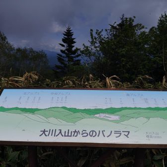 パノラマ…？
木しか見えんが…