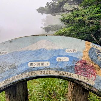 ガスガス
こんな素敵な景色が見えるらしい😭