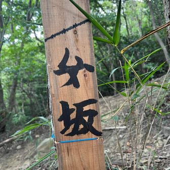 なだらかな登りだから？