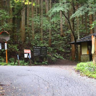 天目指峠に着きました。