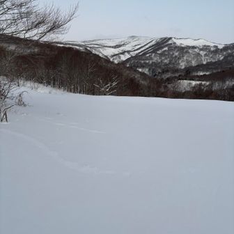 まっさらないこいの村跡。その上を歩けるのが嬉しい。今日はどこまで行けるかな？