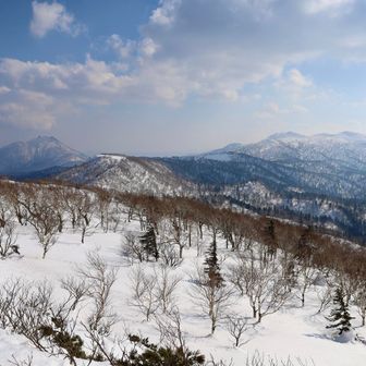 エニーとイザリーも見えた