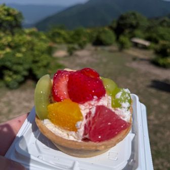 そして、用意してくれたケーキで乾杯