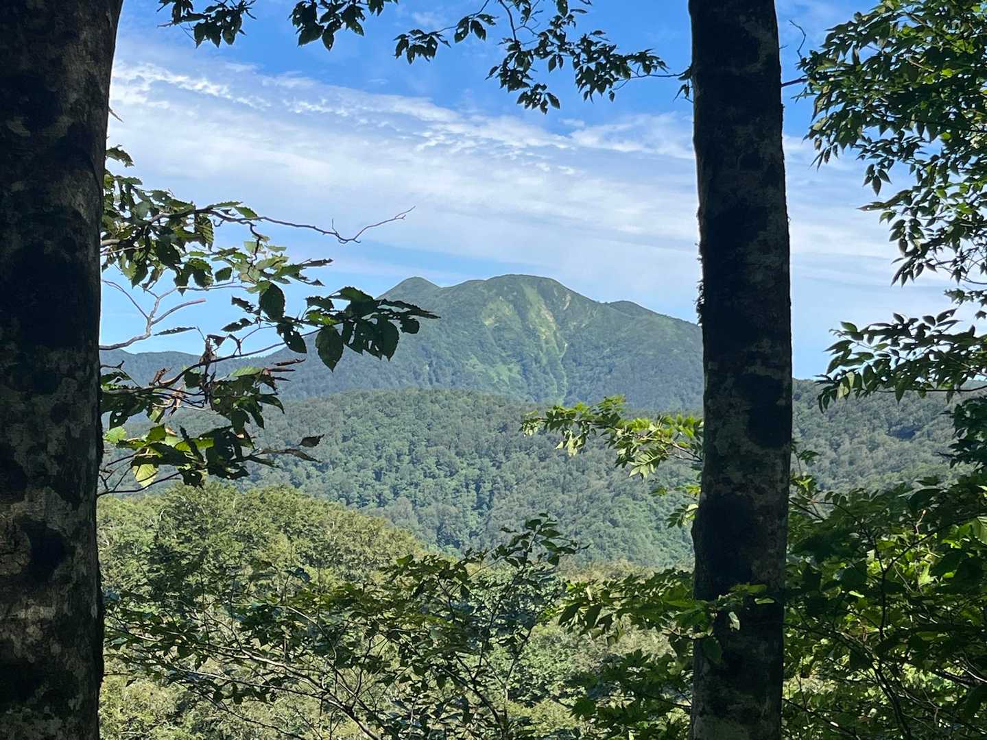 樹林帯を抜けると真昼岳が見えた