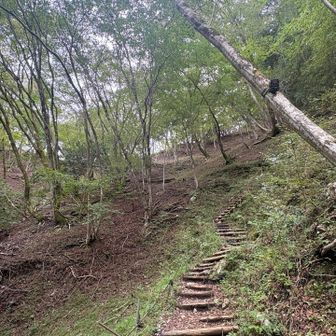 中々の急登が続きます