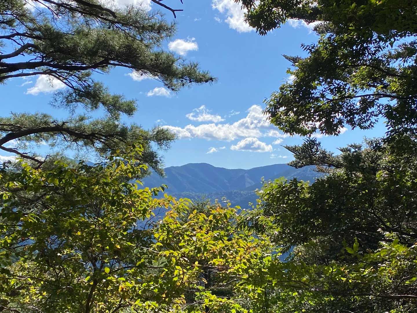 藤コース登山口-七洞岳 往復コースの写真
