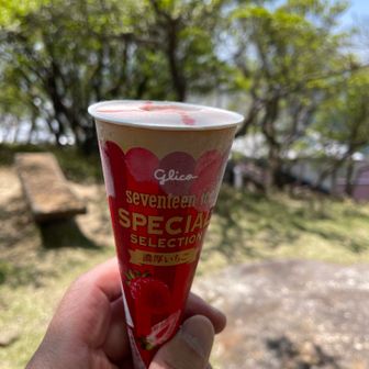 食後のデザート
ごちそうさまでした🍦