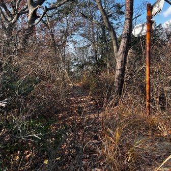 52　菖蒲が滝山　219.5m
No.12