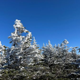 それにしても今日はめちゃ綺麗な青空🤩