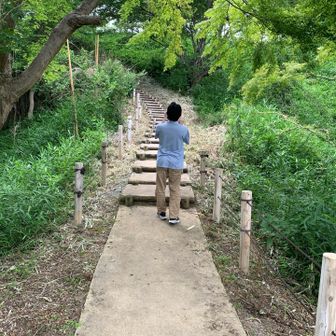 また、階段が出てきました