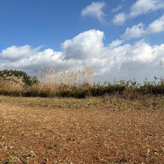 東お多福山⛰️