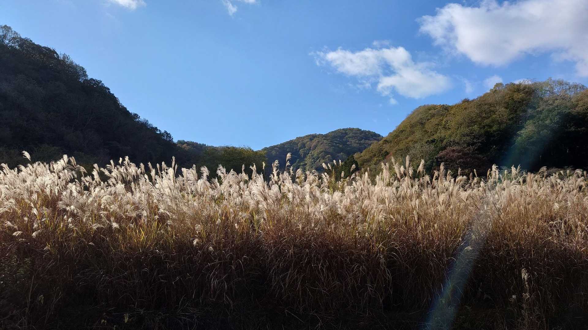 木野山登山口-高滝山-高滝山妙見ルート登山口 周回コースの写真